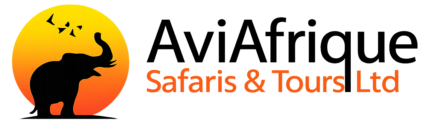 AviAfrique Logo