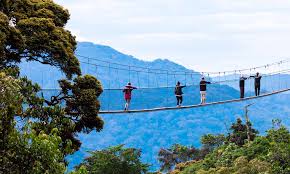 4-Day Rwanda Gorilla Trekking & Nyungwe Forest