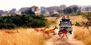 5-Day Queen Elizabeth National Park Safari